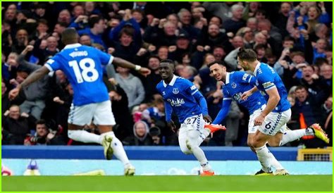 Idrissa Gueye Brother: Everton Midfielder Family Details